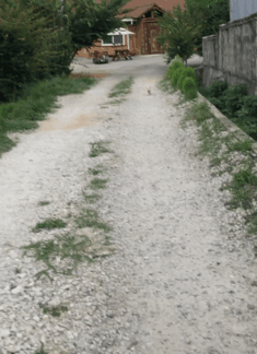 달려오는 댕댕이.gif