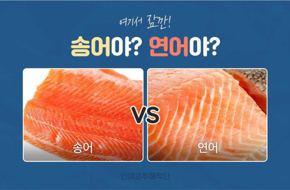 다운로드.jpg