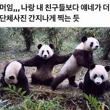 판다 단체사진.jpg