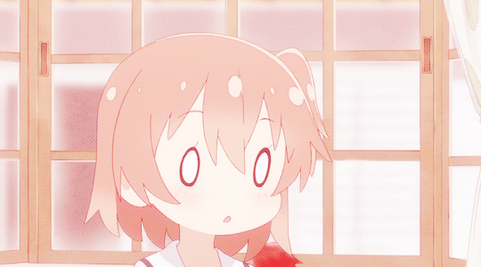 988028481_4c144a6c_1+281129.gif