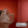 icon_3 (1).gif