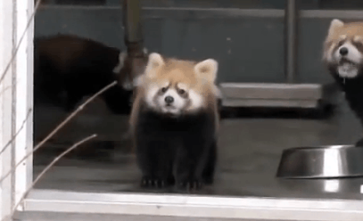 1614424391.gif
