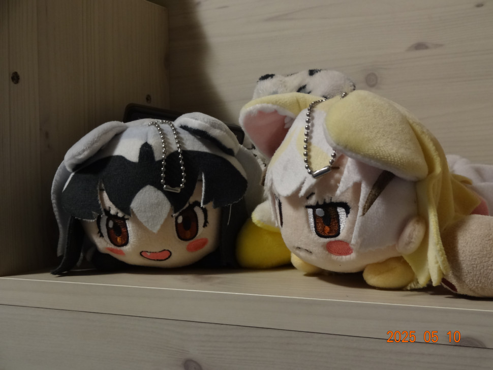 DSC00394.JPG