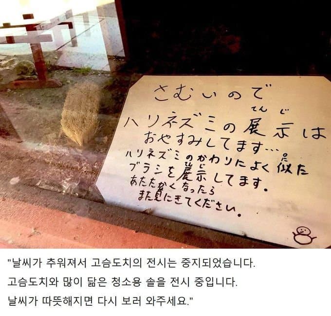 1652425288.jpeg