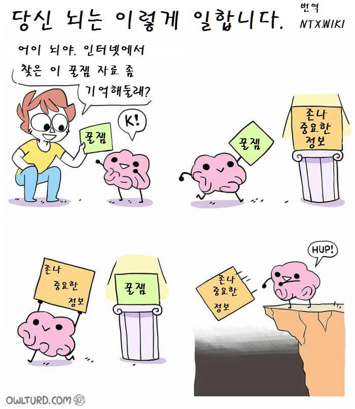 뇌가 기억하는 법.jpg