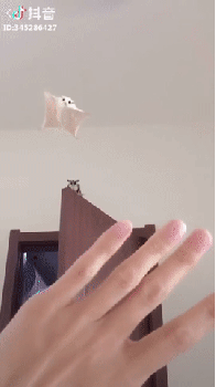 s.gif