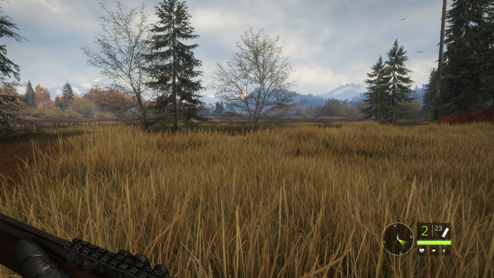 theHunter_ Call of the Wild 2020-11-21 오후 7_25_33.png