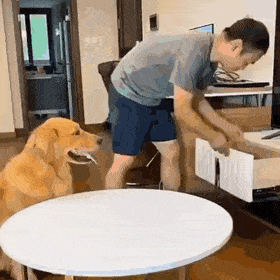 1606716380.gif