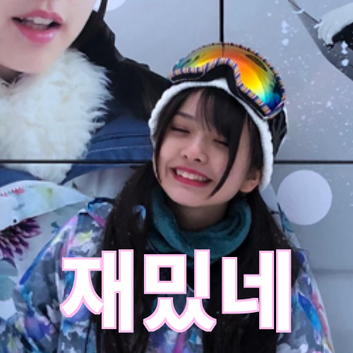 IMG_1402.PNG