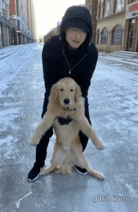 얼음개.gif