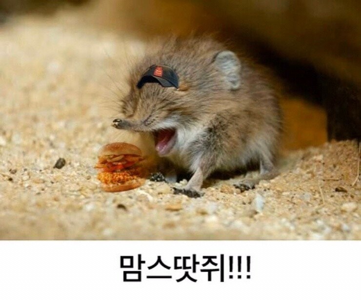 KakaoTalk_20201114_191224360.jpg