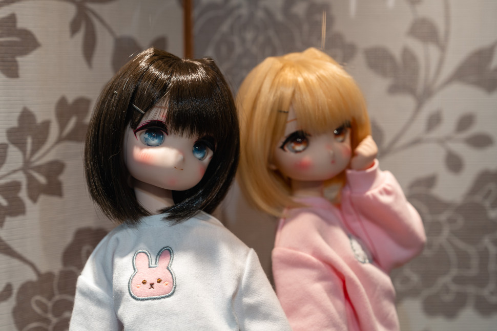 DSC04791.jpg