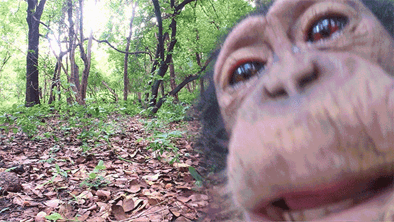 i016409473702.gif