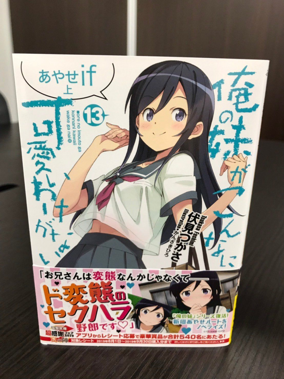 OrenoImouto-Ayaseif-LightNovel-PV-1.jpg