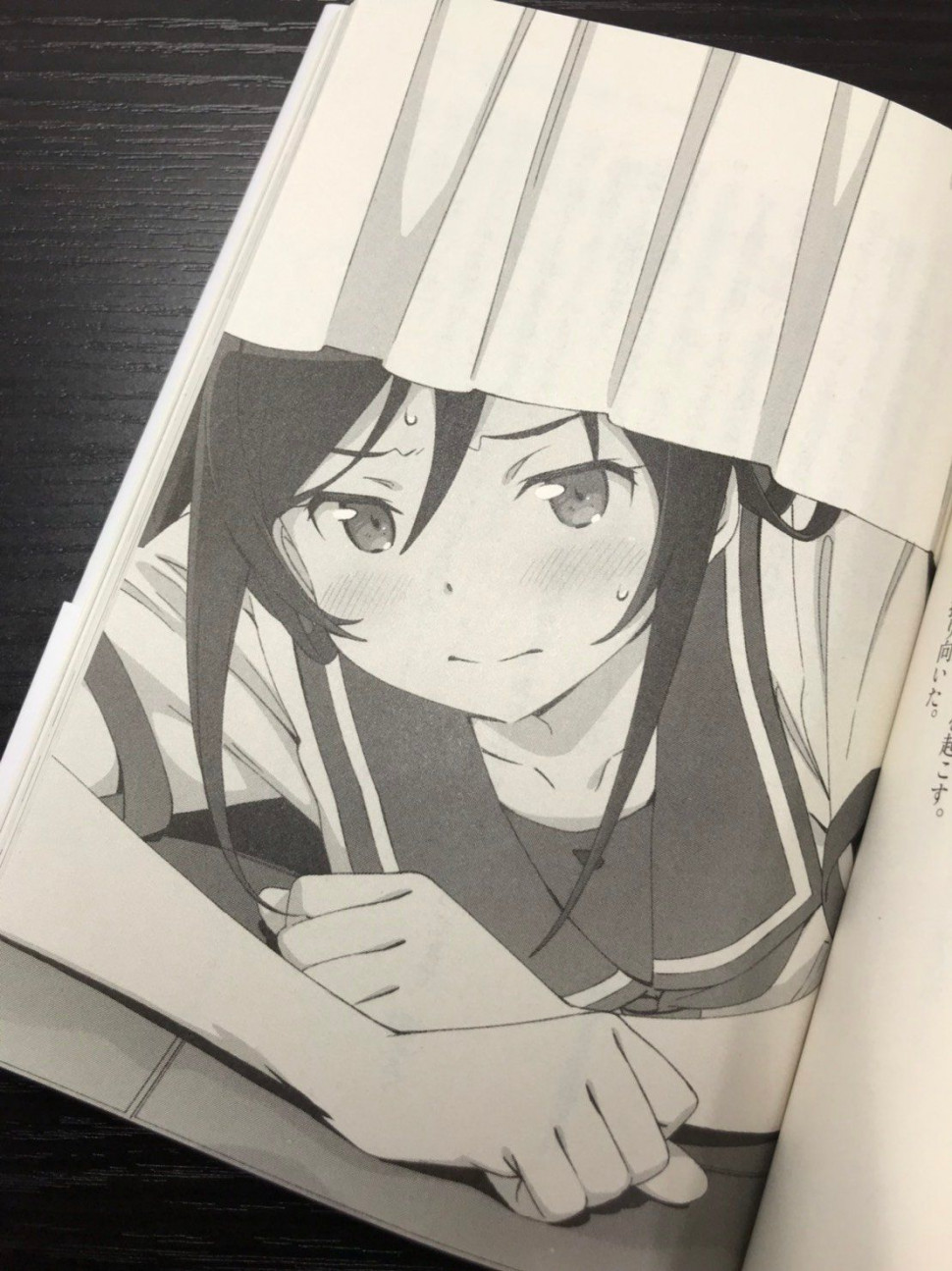 OrenoImouto-Ayaseif-LightNovel-PV-4.jpg