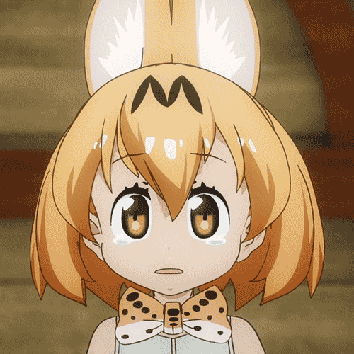 9cea955f389ac508982a25c62a32a6fa.gif