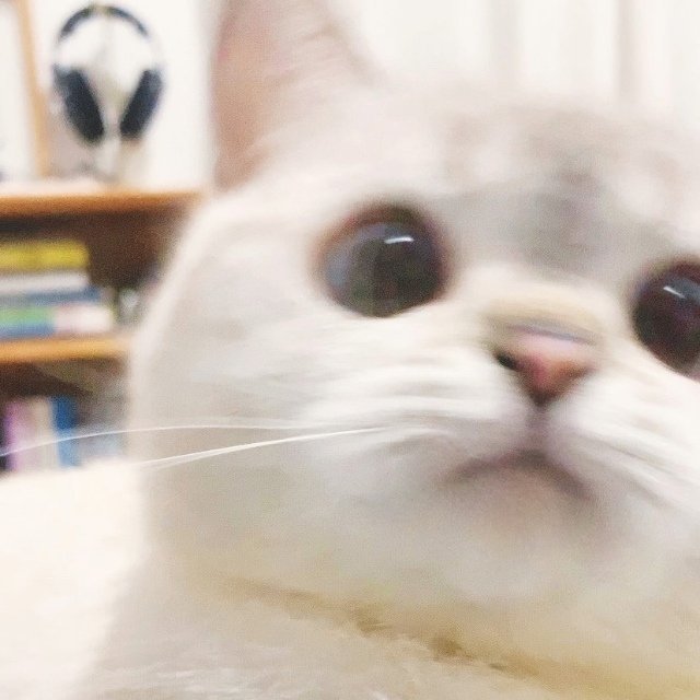 1606095955.jpg