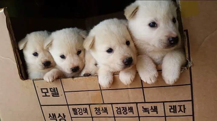 다섯.jpg