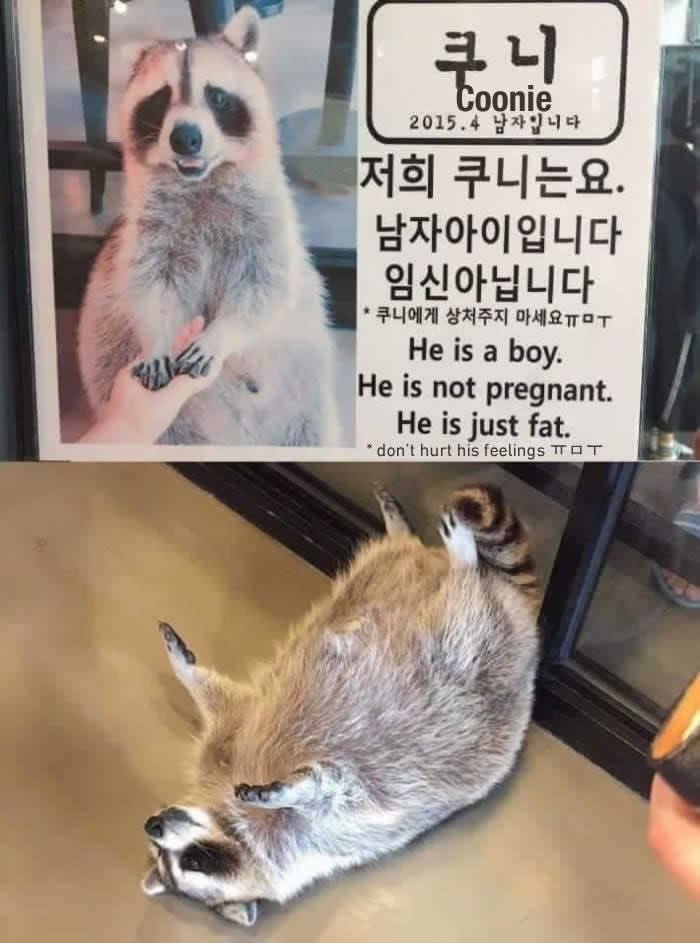 아라이상.jpg