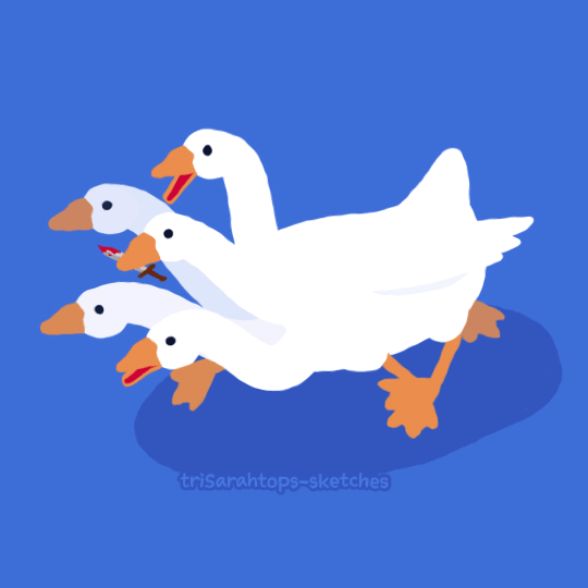 19507fcd9654a7eac.gif