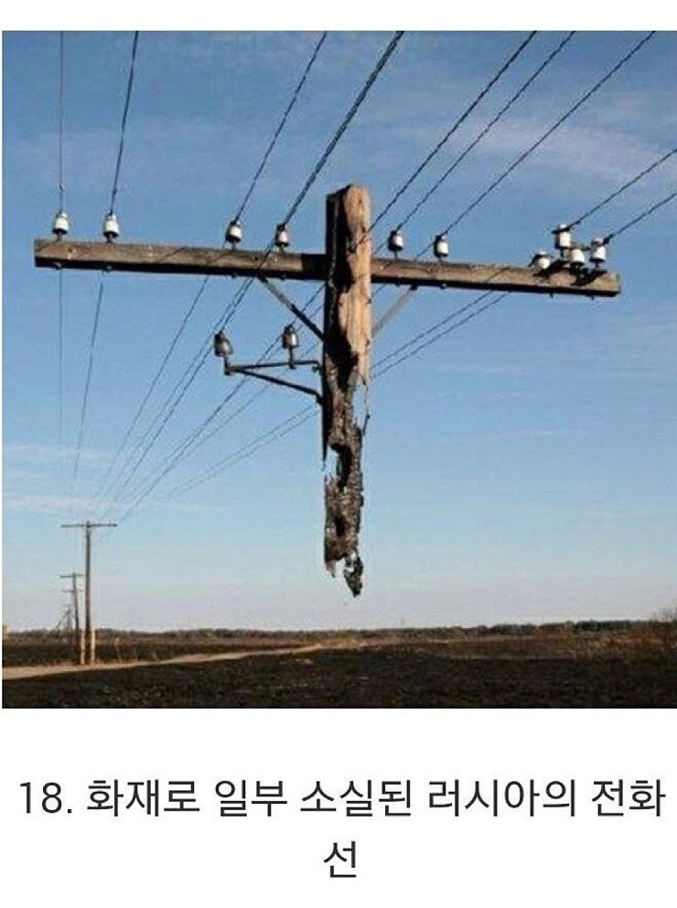 16.jpeg