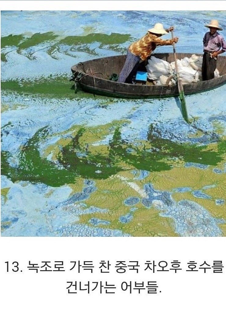 11.jpeg