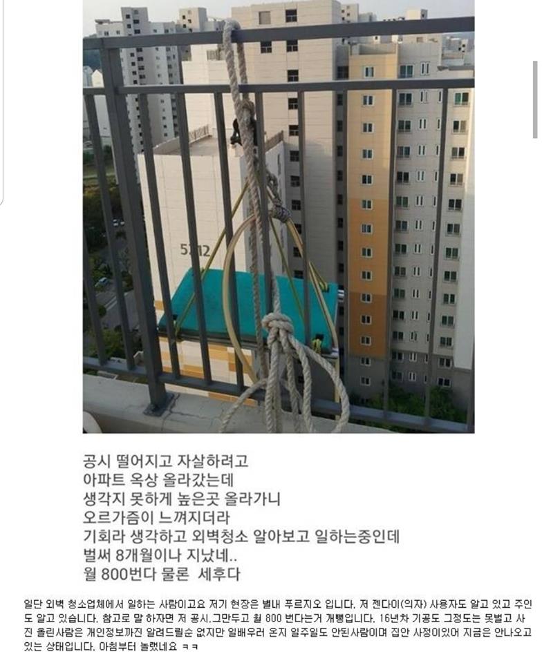 공시 800.jpg