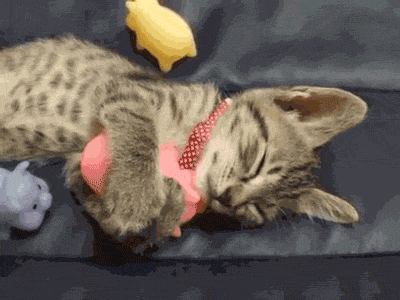 07.gif