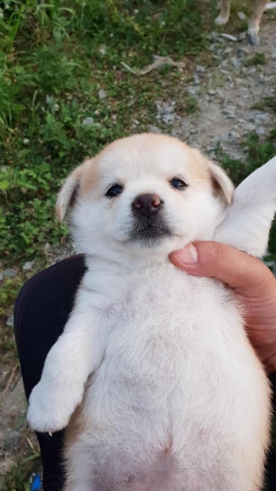 KakaoTalk_20180825_154740786.jpg