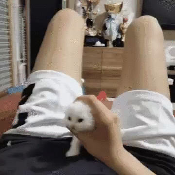 1606418379.gif