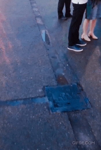 02534.gif