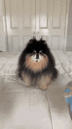 너가 고른 거야.gif