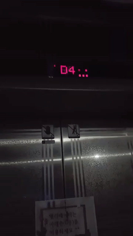 1541956263.gif