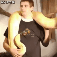aoegame-20210314-230600-000.gif