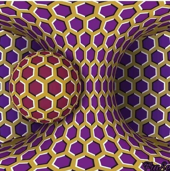 44247828_1223104871147456_7196508220330868736_n.jpg