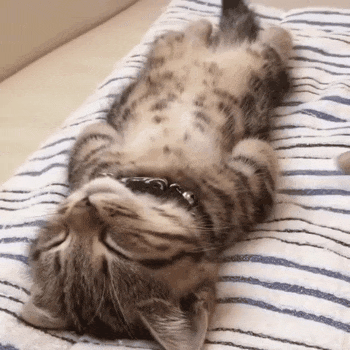 1600866380.gif