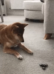 블랙홀에 빨려 들어가는.gif