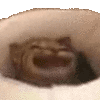 icon_8 (3).gif