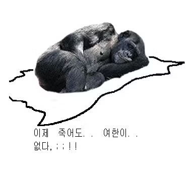 3455345.png