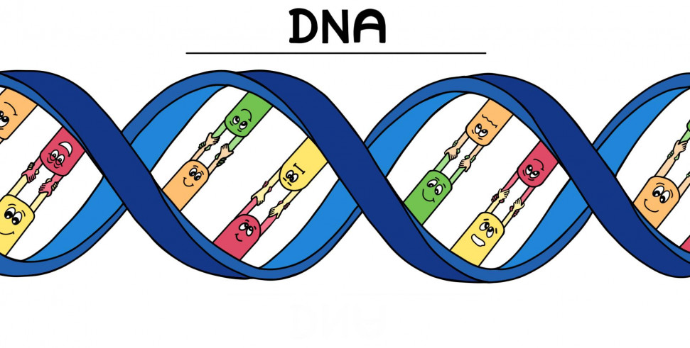 dna_double_helix.jpg