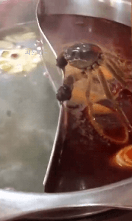15245369675456.gif