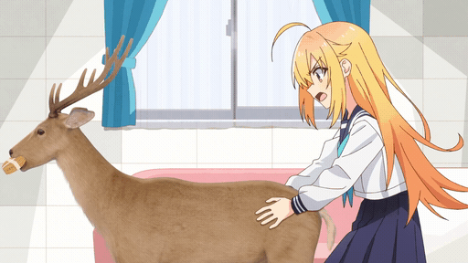 662034559_15e06660_739784.gif