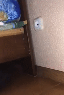 174f194f4912a7926.gif