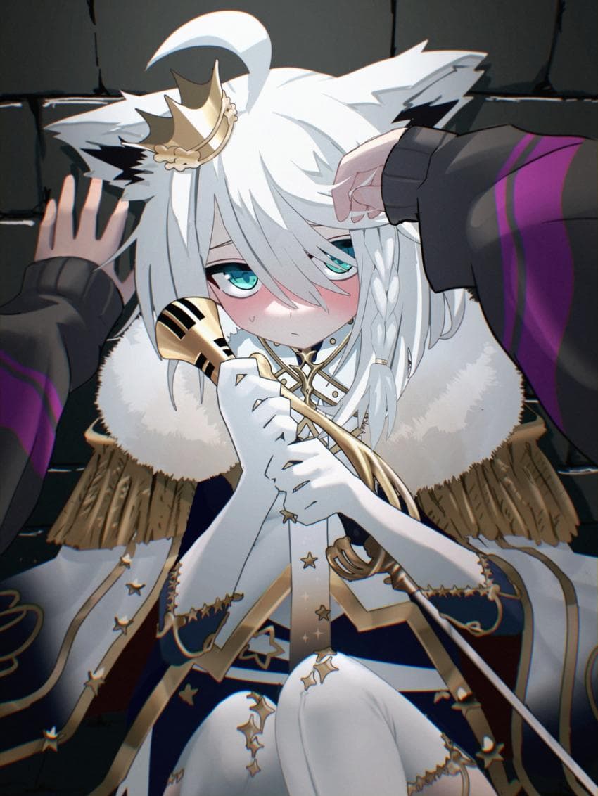 1741811446.jpg