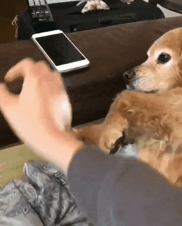 unnamed (1).gif