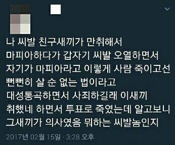 마피아 3.jpg