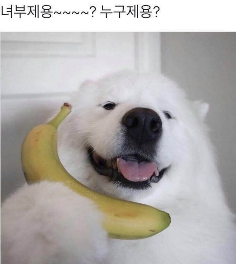 2ea18de96e6e36.png