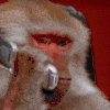 icon_4 (2).gif