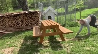 1560736316.gif