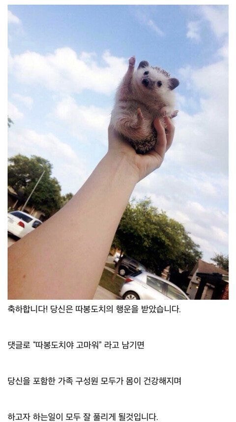 1559000338.jpg